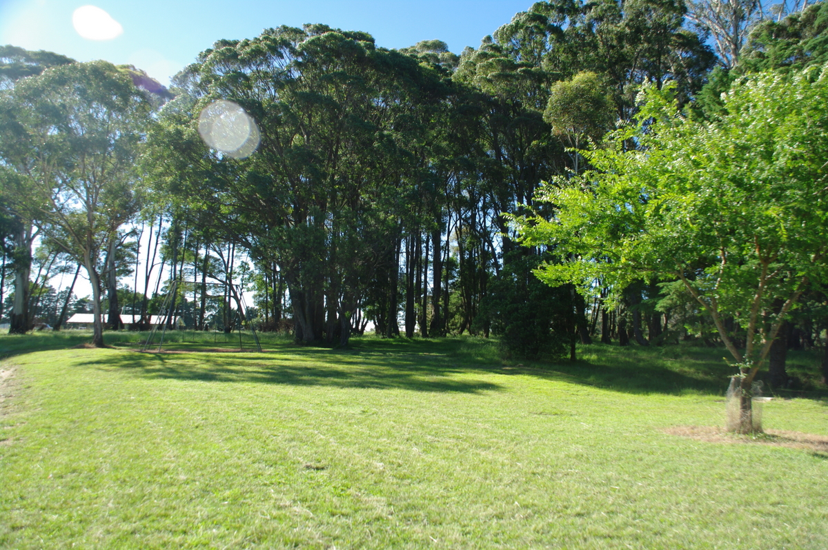 Camping at Majors Creek